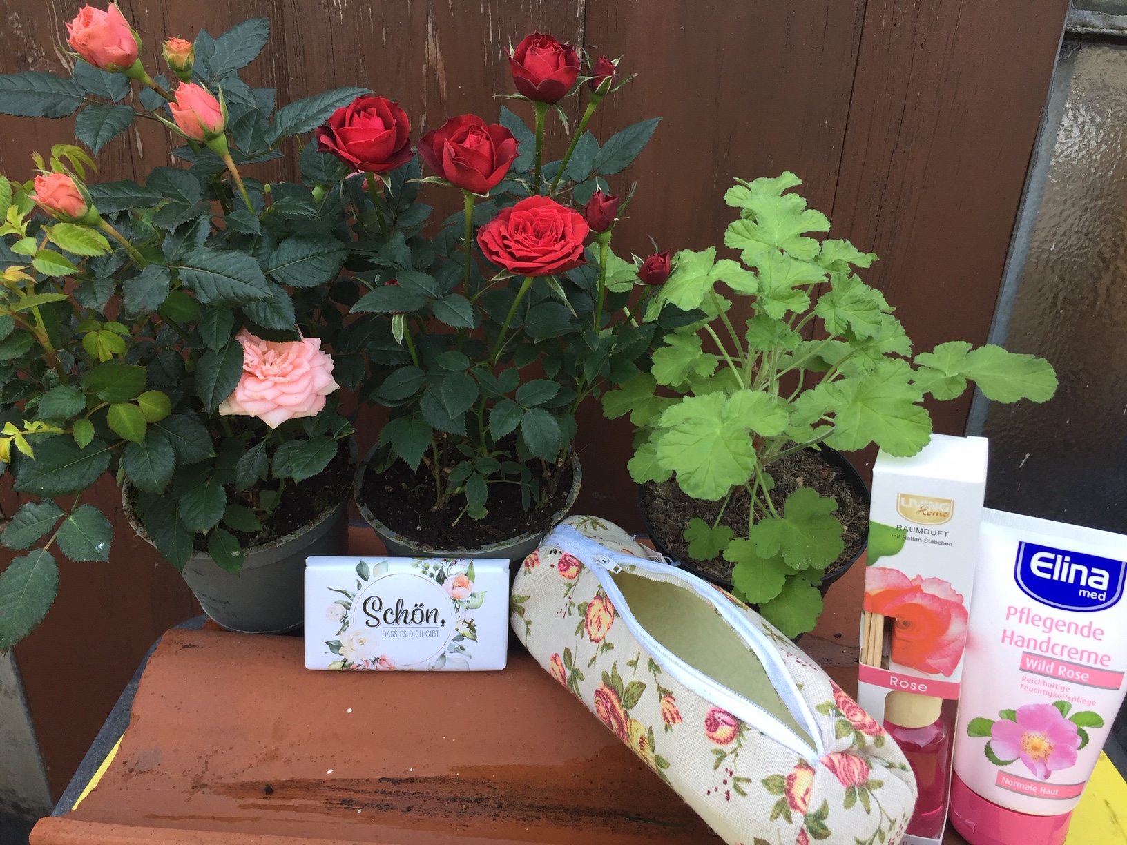 Rosen u. Düfte vesteckt in...., Rose u. Duftpelargonie