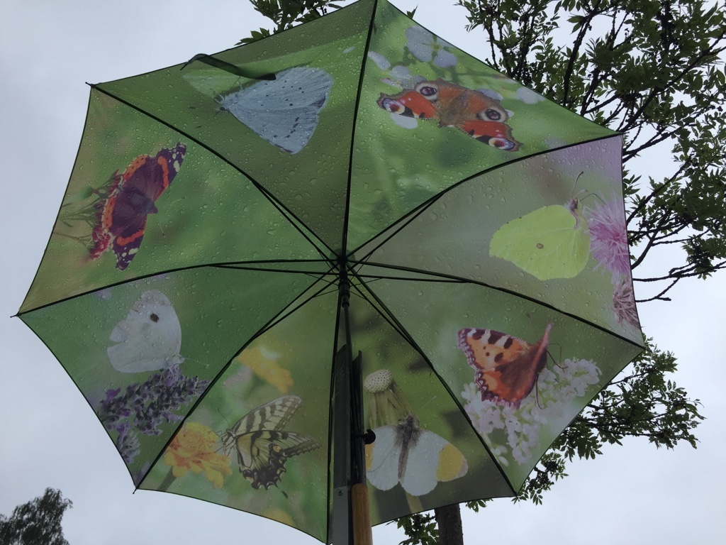 Regenschirm Motiv: Schmetterlinge