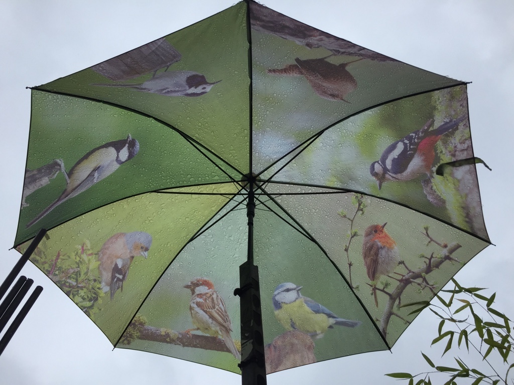 Regenschirm, Motiv: deutsche Sing - Vögel